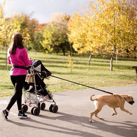 Hands Free Reflective Leash Adjustable Waist Belt