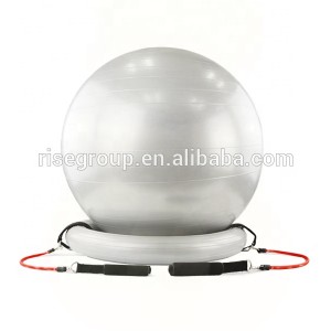 Cheap Price PVC yoga ball with handle/dildo exercise ball/exercise ball covers