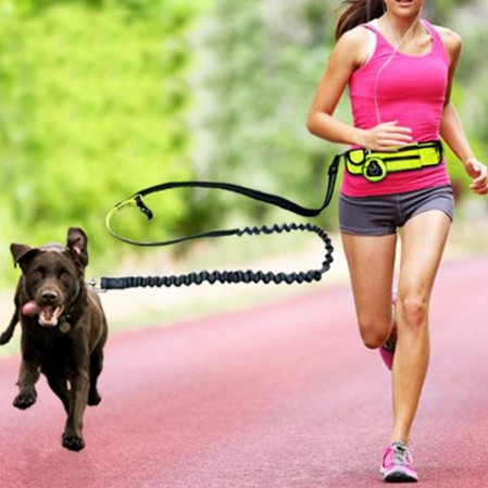 Hands Free Dog Waist Belt with Waist Bag