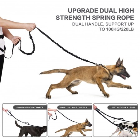 Hands Free Dog waist bag for Running