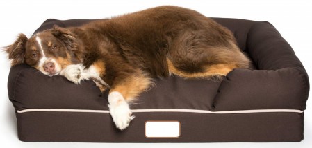 Ultimate Dog Bed, Orthopedic Memory Foam, Multiple Sizes/Colors, Medium Firmness, Waterproof Liner Skin Contact Safe