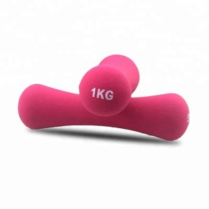 Small 1kg rubber Dumbbell Set