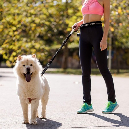 Hands Free Reflective Leash Adjustable Waist Belt