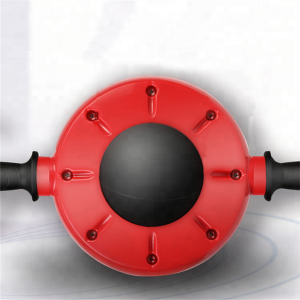 Custom 360 Degree Ball Fitness Ab Wheel Roller