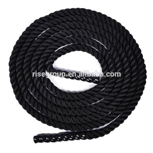 2019 wholesale price Yoga Block Cork -
 fitness undulation battle rope – Rise Group