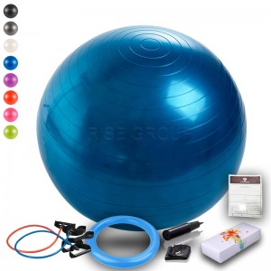 Cheap Price PVC yoga ball with handle/dildo exercise ball/exercise ball covers