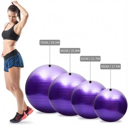 Durable Custom Printed Fitness Gym 65cm Balance Pilates Ball